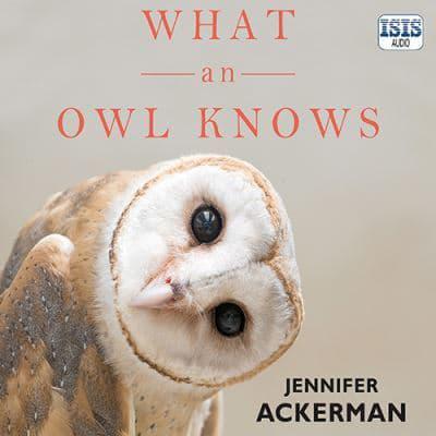 What an Owl Knows