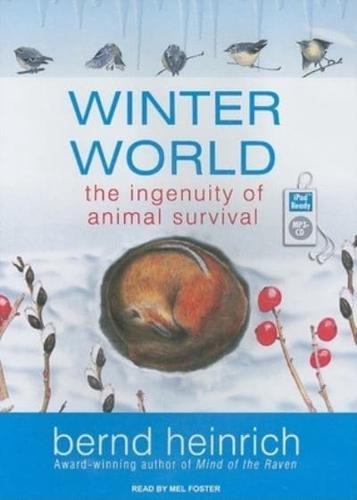 Winter World