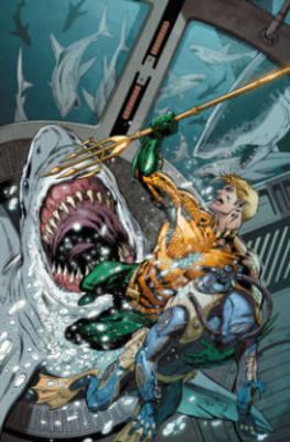 Aquaman. Volume 5 Sea of Storms