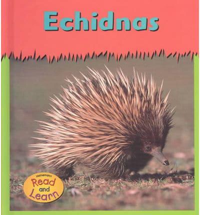 Echidnas