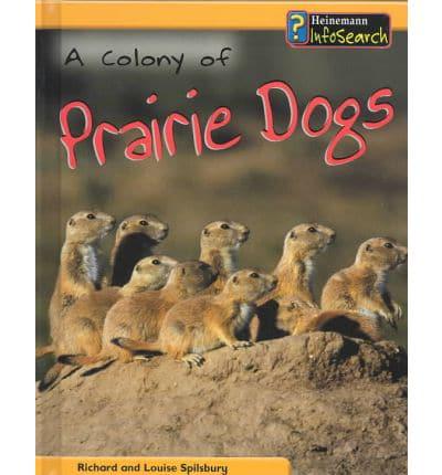 A Colony of Prairie Dogs