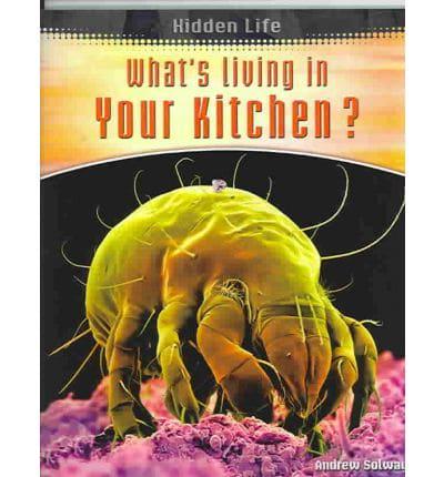 What's Living in Your Kitchen?