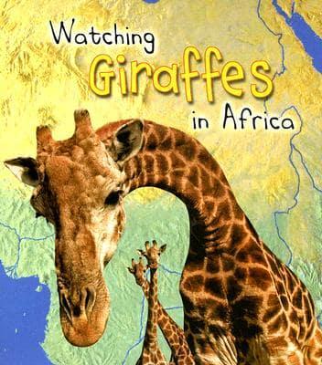 Watching Giraffes in Africa