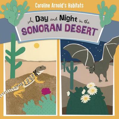 A Day and Night in the Sonoran Desert