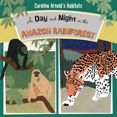 A Day and Night in the Amazon Rainforest