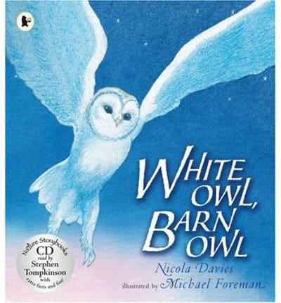 White Owl, Barn Owl