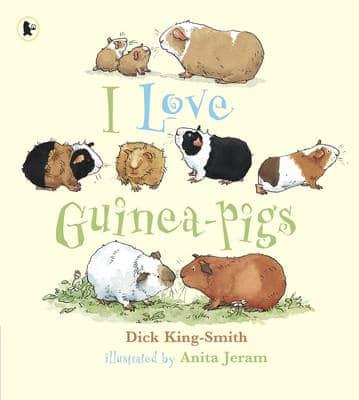 I Love Guinea-Pigs