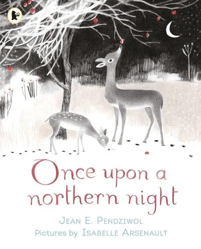 Once Upon a Northern Night