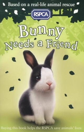 Bunny Needs a Friend