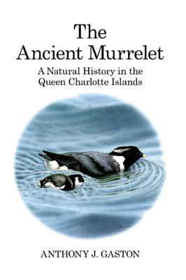 The Ancient Murrelet