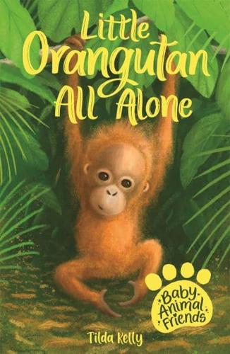 Little Orangutan All Alone