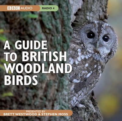 A Guide to British Woodland Birds