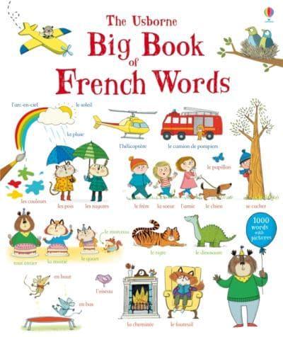 The Usborne Big Book of French Words