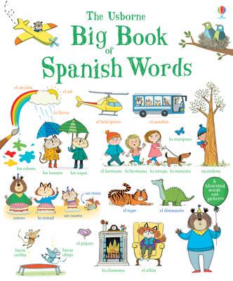The Usborne Big Book of Spanish Words
