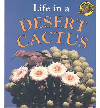 Life in a Desert Cactus