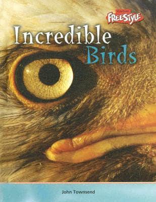 Incredible Birds