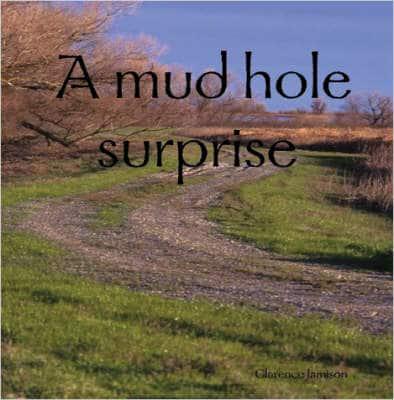 A Mud Hole Surprise