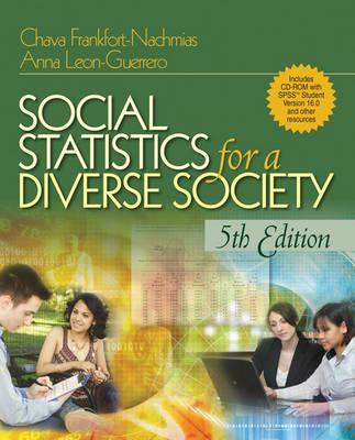 Social Statistics for a Diverse Society