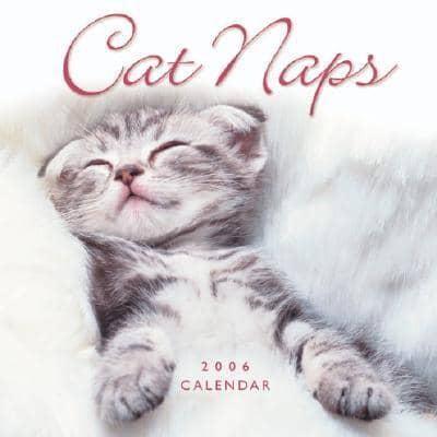 Cat Naps 2006 Calendar