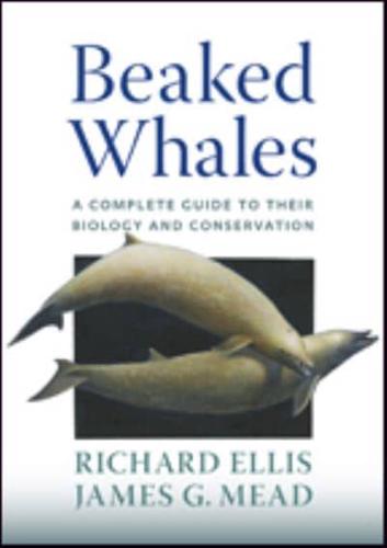 Beaked Whales