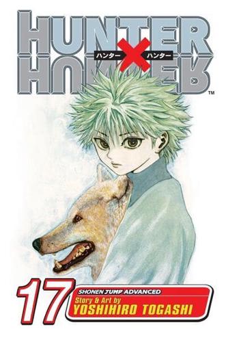 Hunter X Hunter. Volume 17