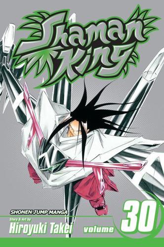 Shaman King. Vol. 30