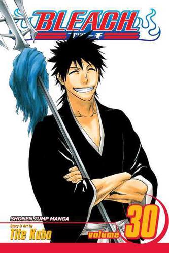 Bleach. Vol. 30