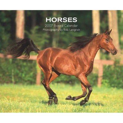 Horses 2007 Calendar