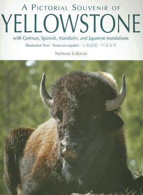 A Pictorial Souvenir of Yellowstone