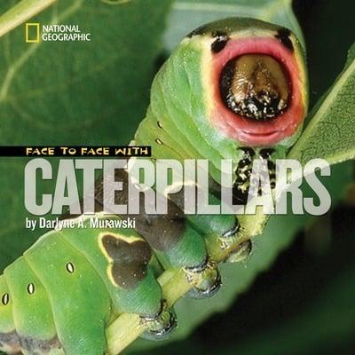 Face to Face With Catepillars