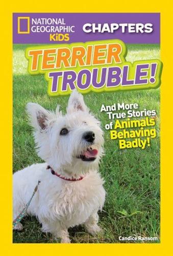 Terrier Trouble!