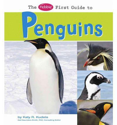 The Pebble First Guide to Penguins