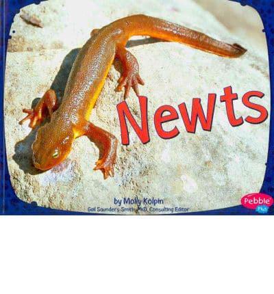 Newts