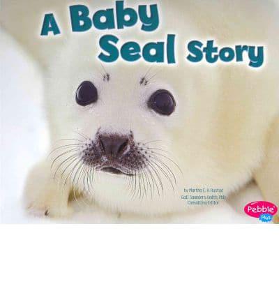 A Baby Seal Story