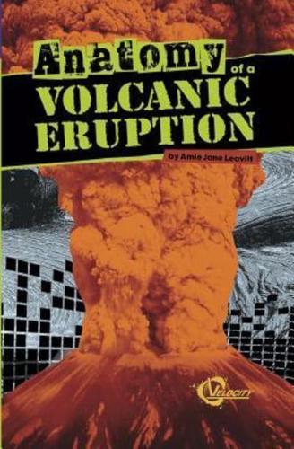 Anatomy of a Volcanic Eruption