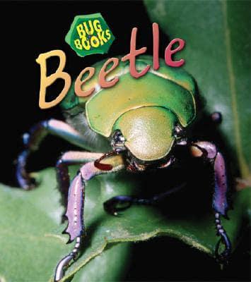 Beetle