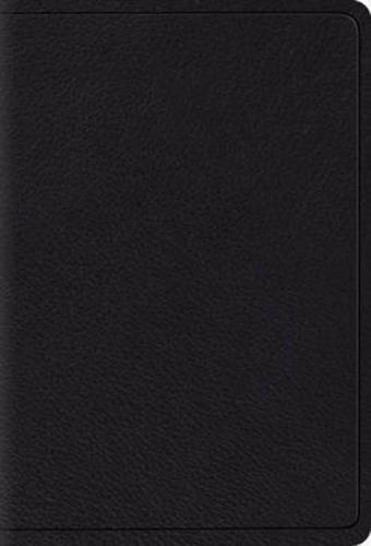 ESV Large Print Compact Bible (Black)