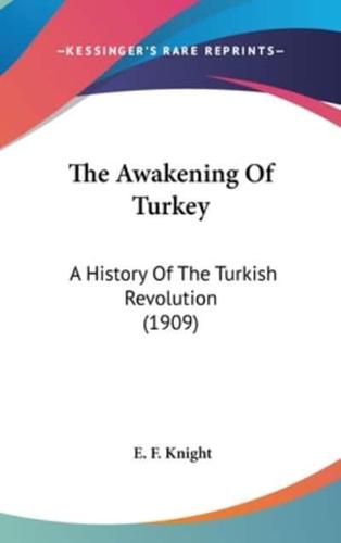 The Awakening Of Turkey