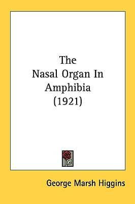 The Nasal Organ In Amphibia (1921)