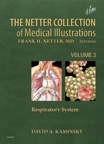 The Netter Collection of Medical Illustrations. Respiratory System