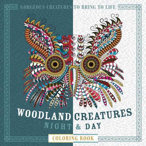 Woodland Creatures Night & Day Coloring Book