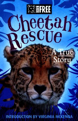 Cheetah Rescue
