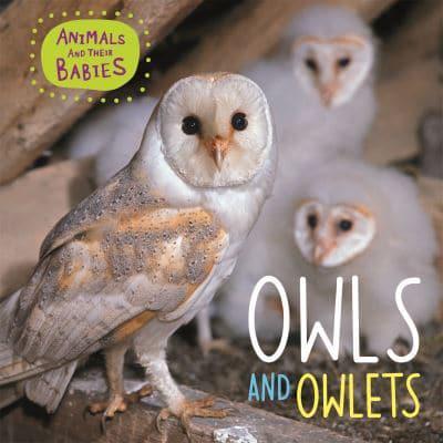 Owls and Owlets