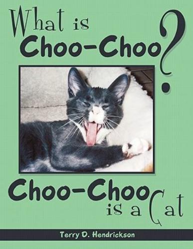 What is Choo-Choo?: Choo Choo Is A Cat