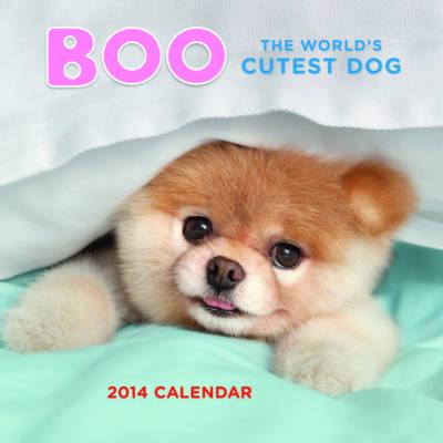 Boo the World's Cutest Dog 2014 Calendar