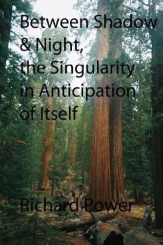 Between Shadow and Night, The Singularity in Anticipation of Itself