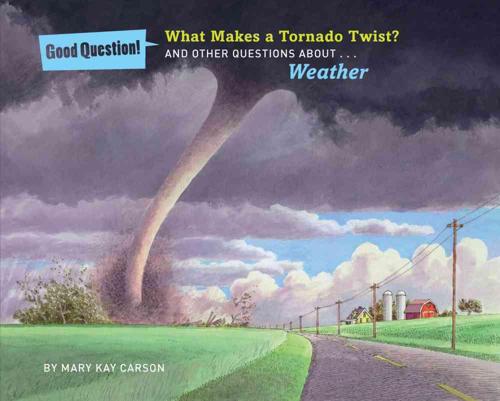 What Makes a Tornado Twist?