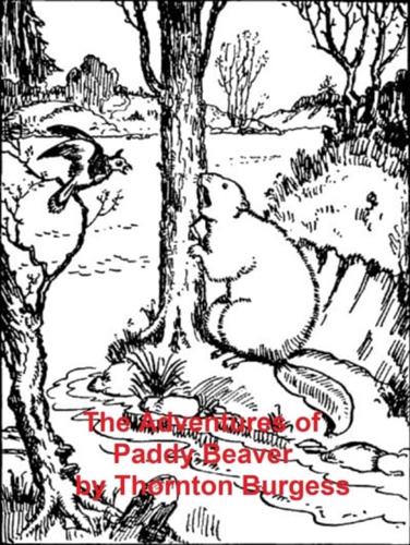 Adventures of Paddy Beaver, Illustrated