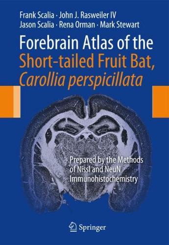 Forebrain Atlas of the Short-Tailed Fruit Bat, Carollia Perpicillata