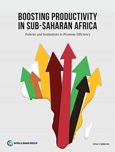 Boosting Productivity in Sub-Saharan Africa
